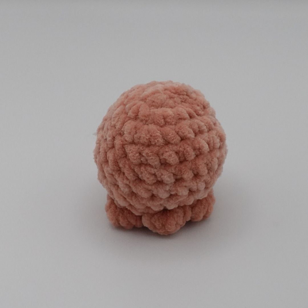 Petit poulpe
