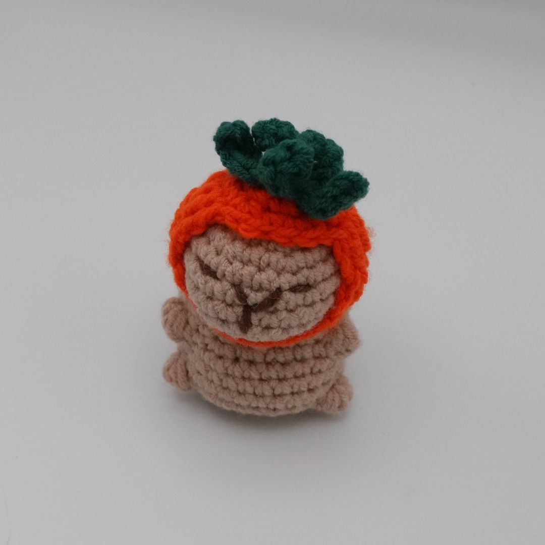 Capybara  carotte