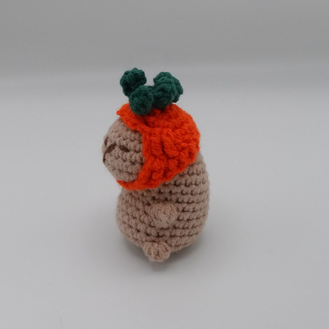Capybara  carotte