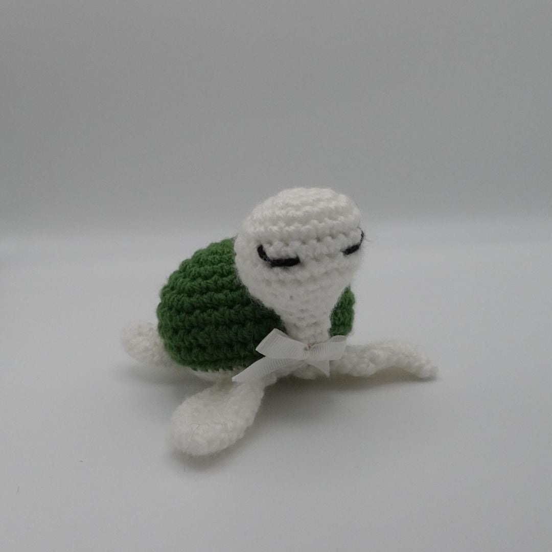 Tortue élégante